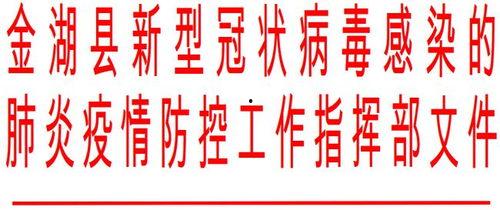 金湖疫情最新爆料,追踪病毒变异与防控措施升级